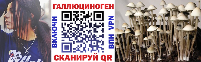 Псилоцибиновые грибы ЛСД  Купить закладки  Задонск 